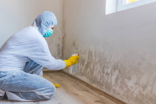 Hvac And Air Duct Mold Remediation inspection of HVAC system in Hastings