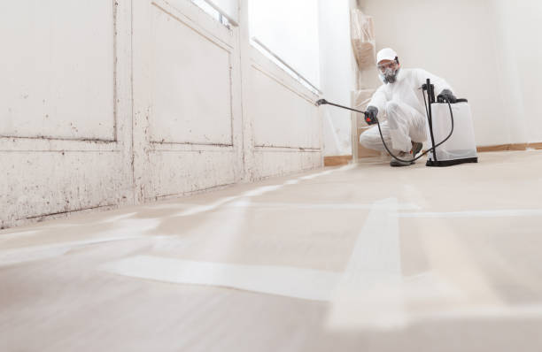 Black mold remediation team in Hastings